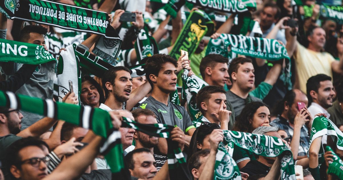 A crowd of sports fans holding up green and white scarves.