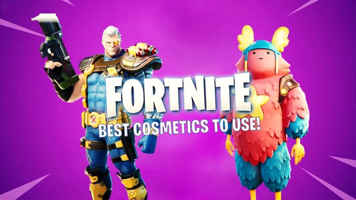 Best Skins For Competitive Fortnite Fortnite What Are The Most Competitive Cosmetics