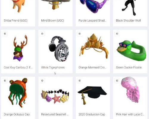 Roblox July 2020 Promo Codes Leaked Items New Cosmetics Black Prince Succulent Headphones Current Codes And More - wolf guy roblox