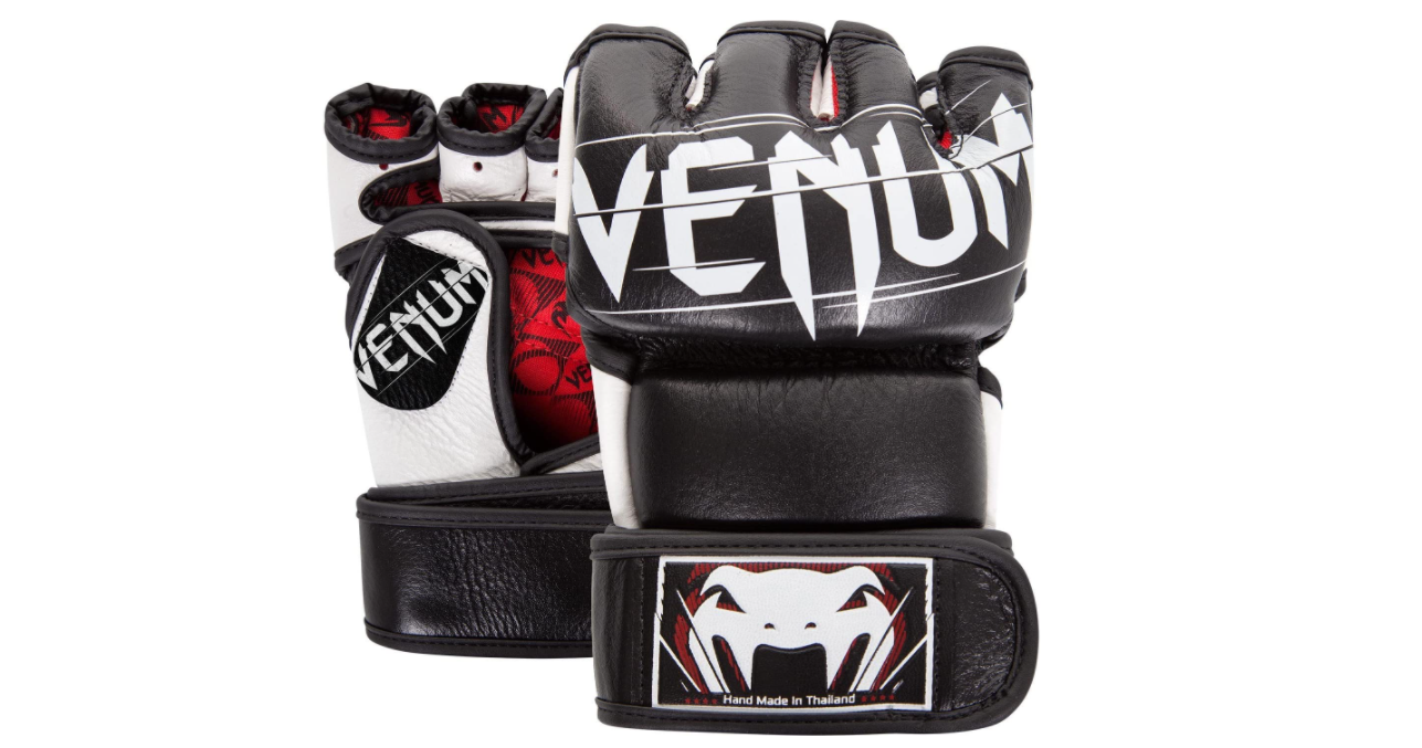 best mma gloves for beginners