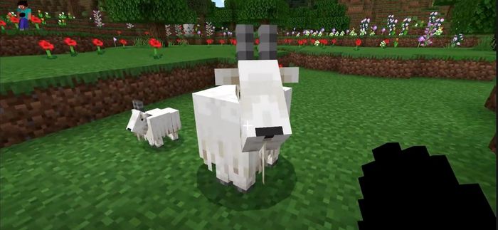 Minecraft 1 17 beta goats