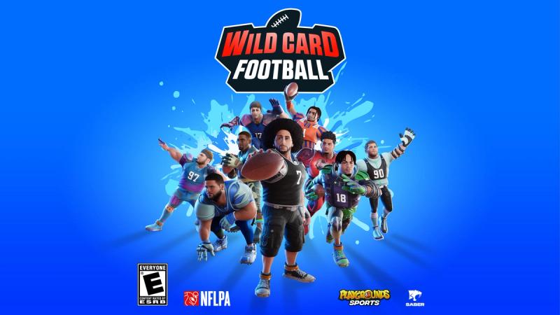 All you need to know about NFL Wild Cards