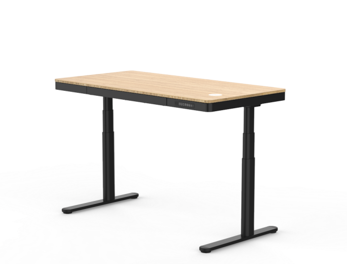 Flexispot Q8 Standing Desk
