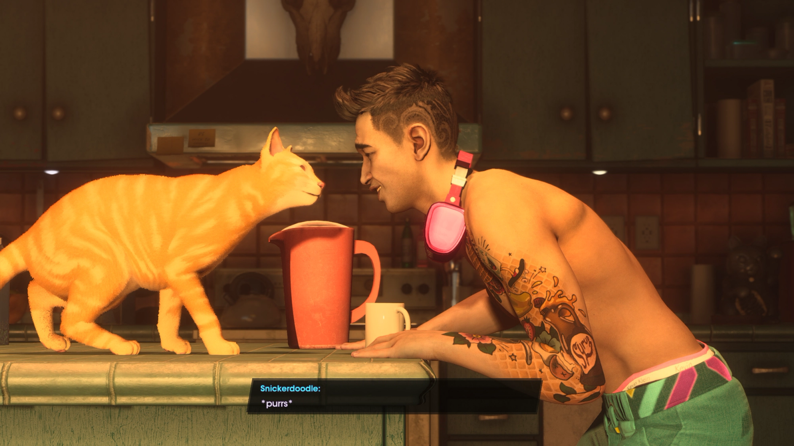 saints row kevin and his cat