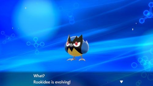 Pokemon Sword & Shield: The Best Pokemon Types To Use In Each Gym