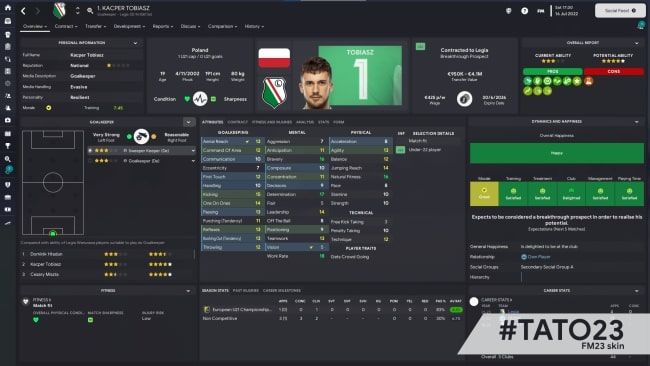 best fm23 skins - tato 23 skin with user friendly player overview page