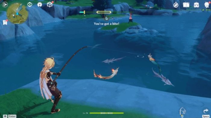 genshin impact, fish respawn times