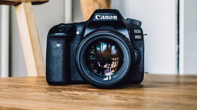 best canon camera for wildlife photography