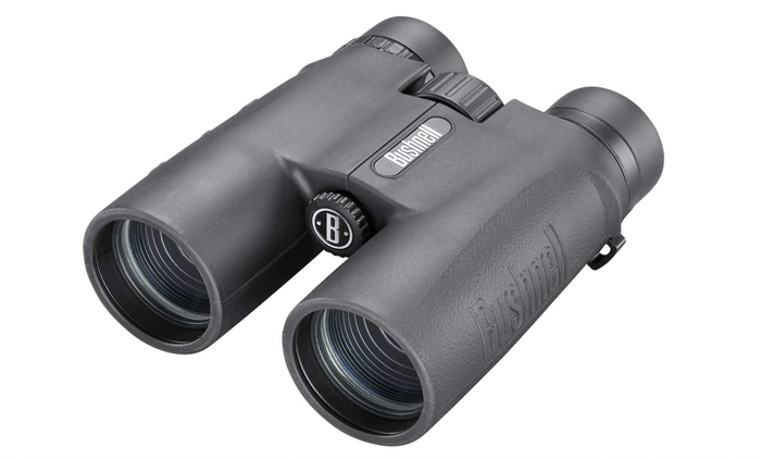 best binoculars under 100 bushnell
