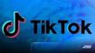 TikTok Celebrity Lookalike Filter: How To Get Celebrity Lookalike Filter on TikTok