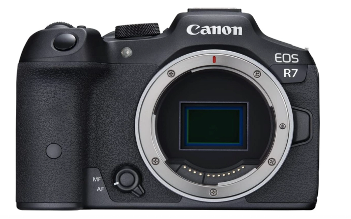 best Canon camera for wildlife photography APS-C
