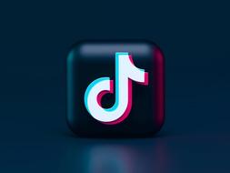 TikTok Voice Effects Not Showing? Here's How To Fix It