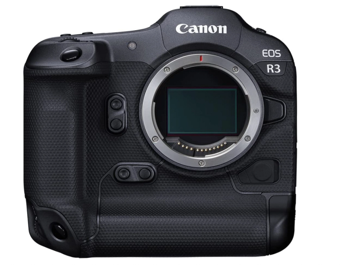 best canon camera for wildlife photography mirrorless