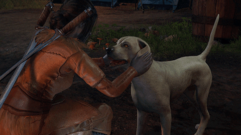 And this canine companion got a LOT of petting.