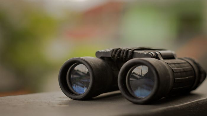 How To Fix Double Vision In Binoculars