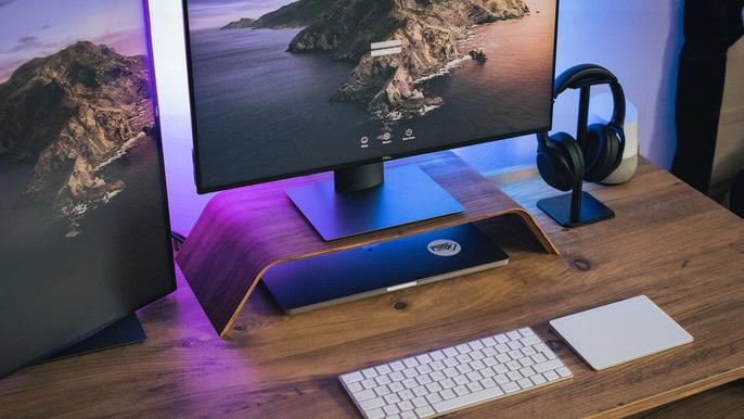 best monitor for working from home
